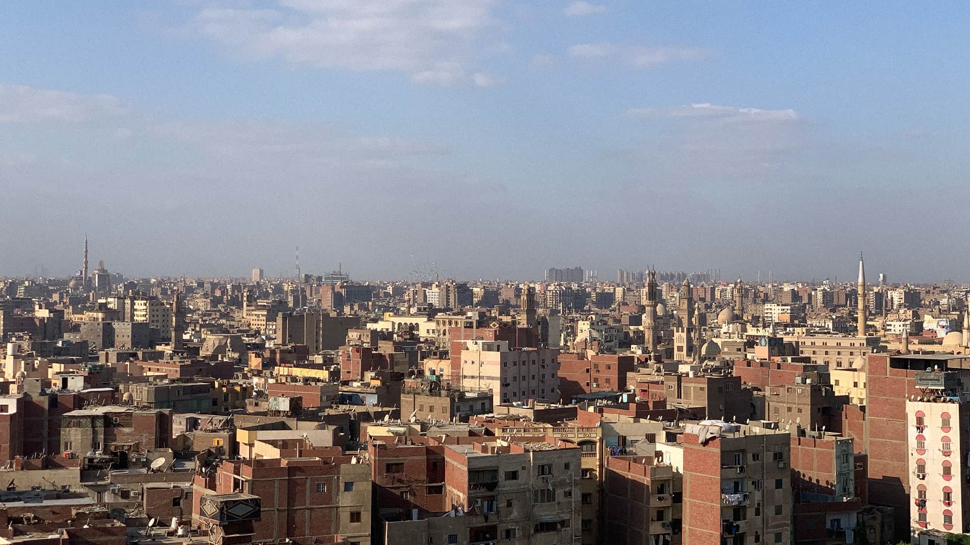 We Can Save Egypt image