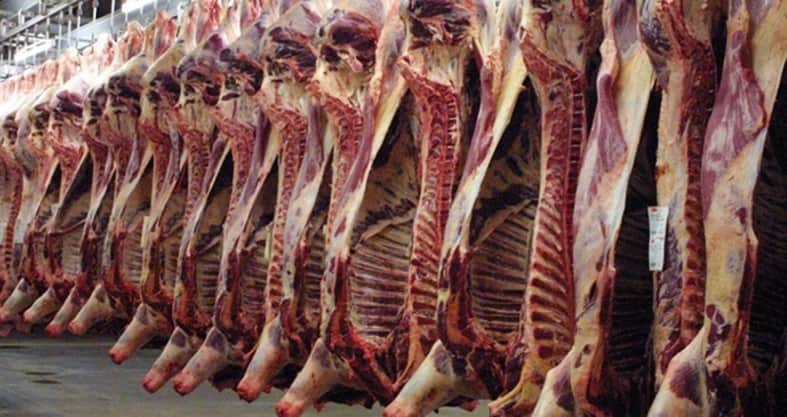 صورة الحكومة تدعو البرازيل  لعدم إتلاف لحومها الفاسدة مؤكّدة أن الشعب يبلع جميع أنواع الفساد بسهولة