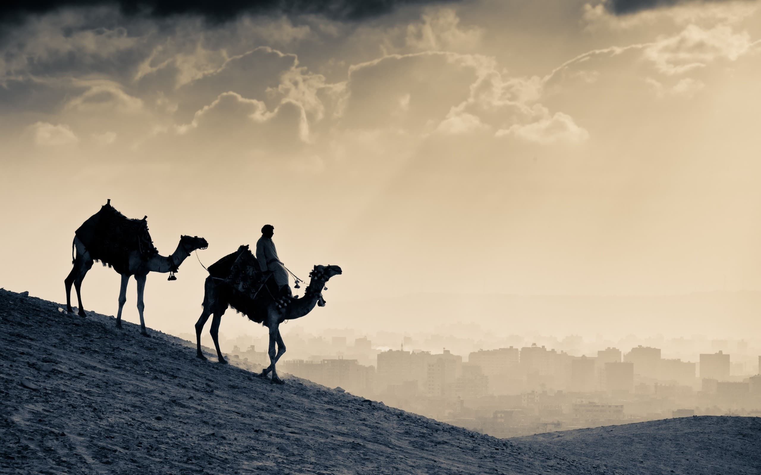 صورة قمّة عربية لدراسة نهج المدينة المنورة في التعامل مع لاجئي الهجرة النبوية