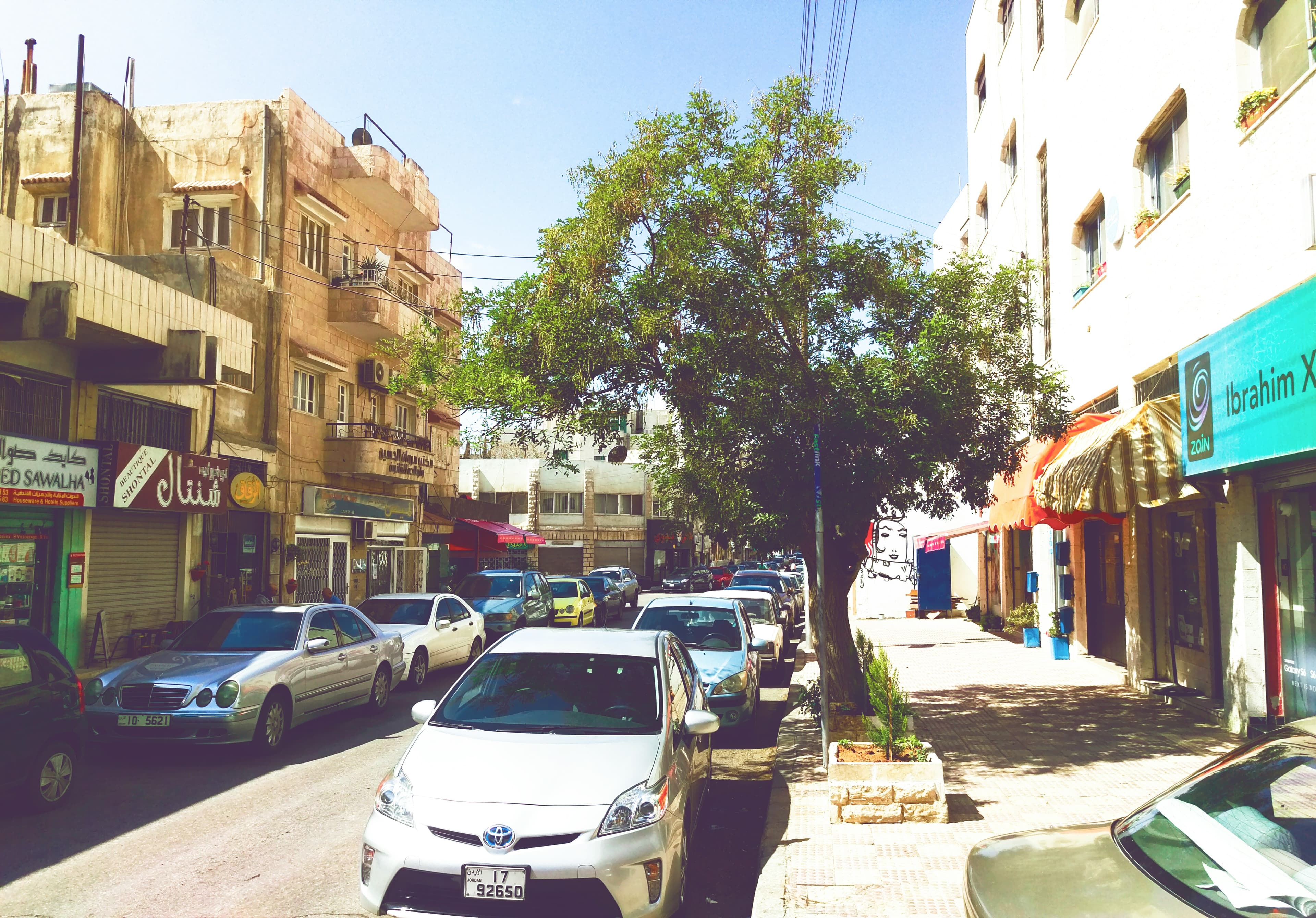 صورة إنسان يتحول إلى شجرة أثناء انتظاره لسيارة أجرة