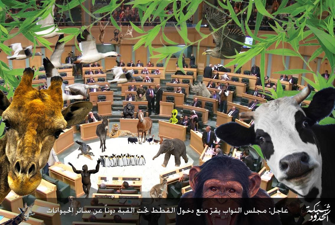 صورة إجراء أول دراسة واسعة النطاق على مجلس النوّاب