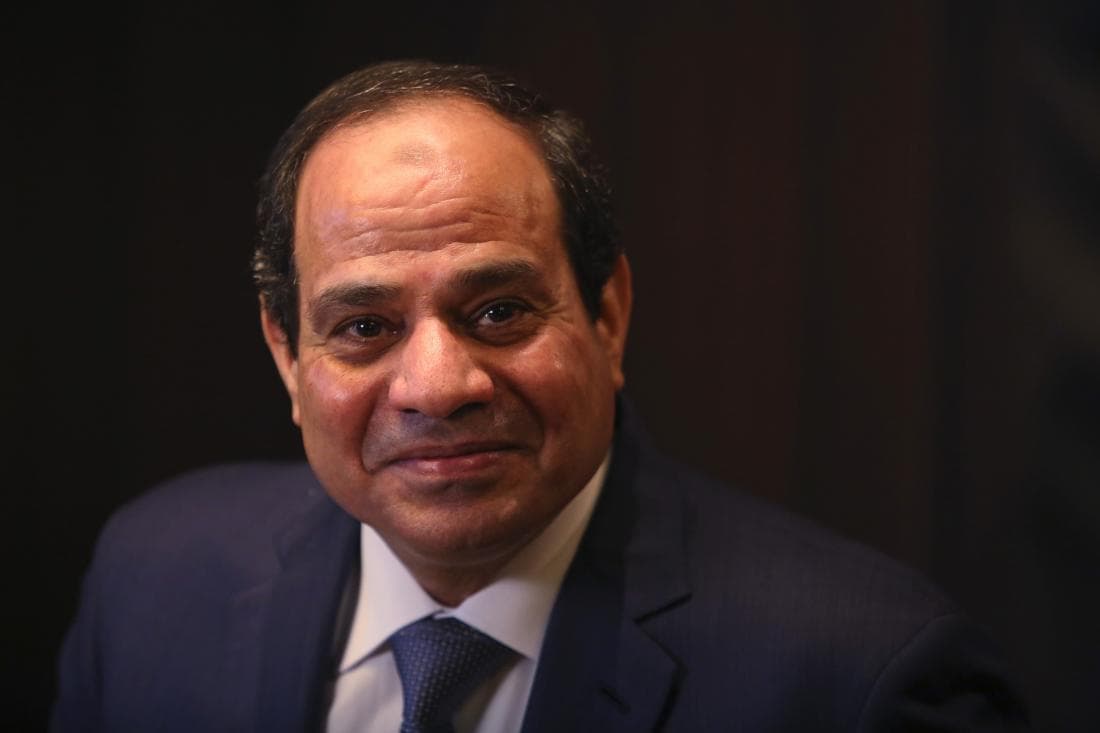 صورة ​السيسي يعرض إرسال الشرطة المصرية للتعامل مع المتظاهرين الأمريكان