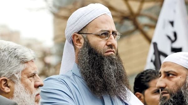 صورة إحصائيات: اقتراب انقراض الكائن السلَفَي من الطبيعة