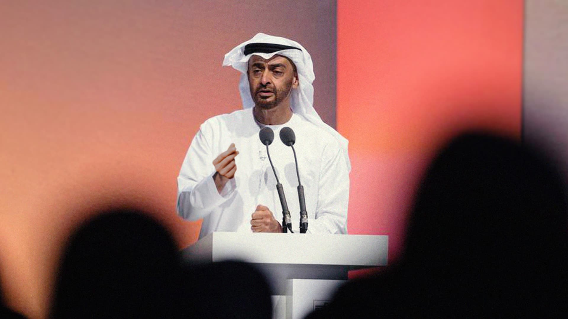 صورة ابن زايد: لا فرق بين لص عربي ولا أعجمي إلا برصيده البنكي
