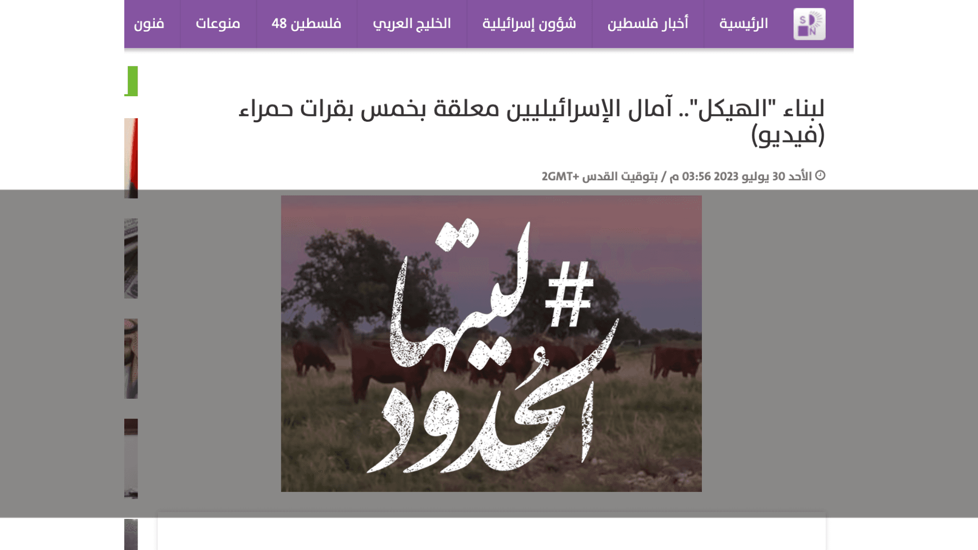 صورة لبناء "الهيكل".. آمال الإسرائيليين معلقة بخمس بقرات حمراء (فيديو)