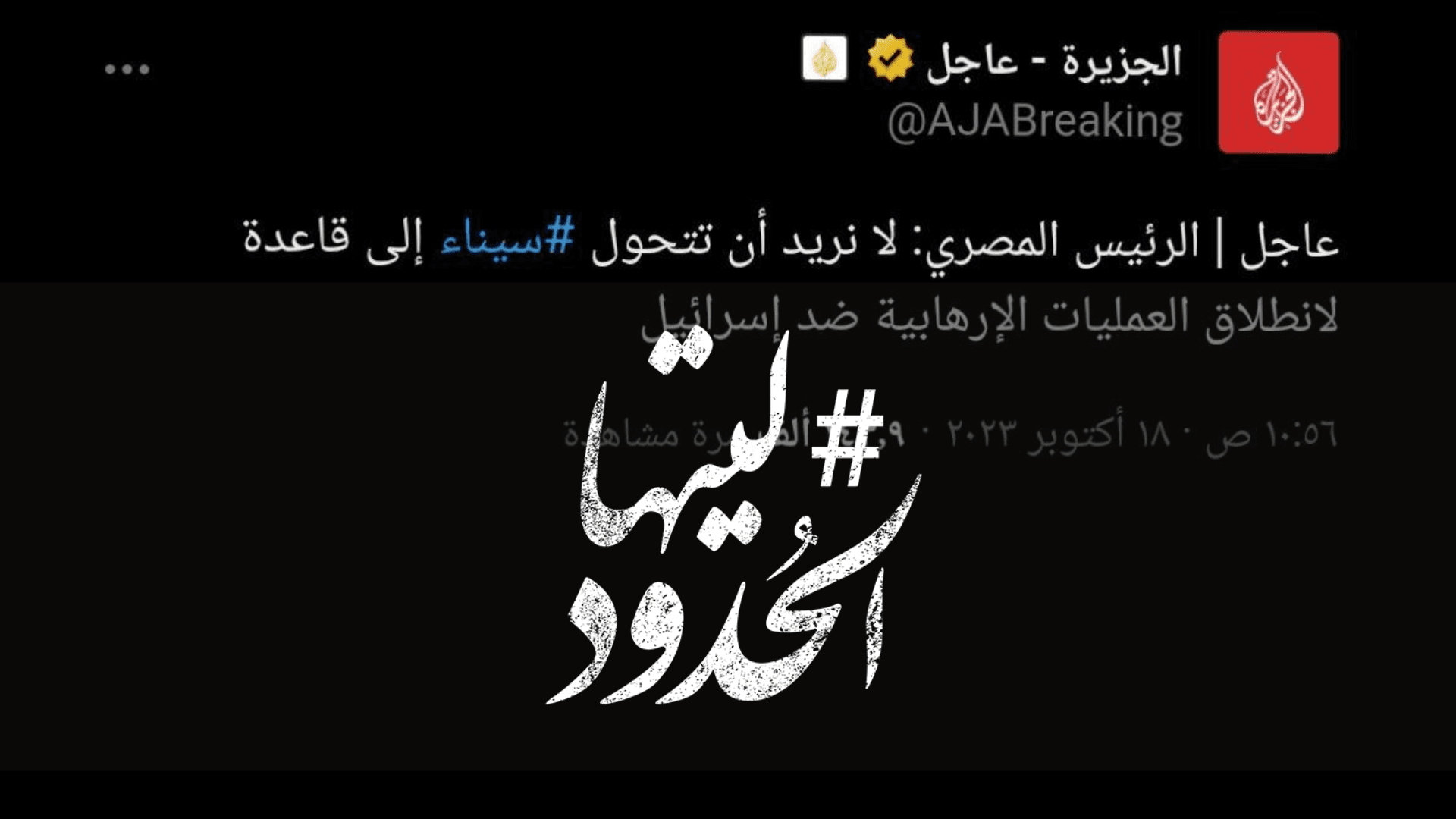 صورة السيسي: لا نريد أن تتحول سيناء إلى قاعدة لانطلاق العمليات الإرهابية ضد إسرائيل