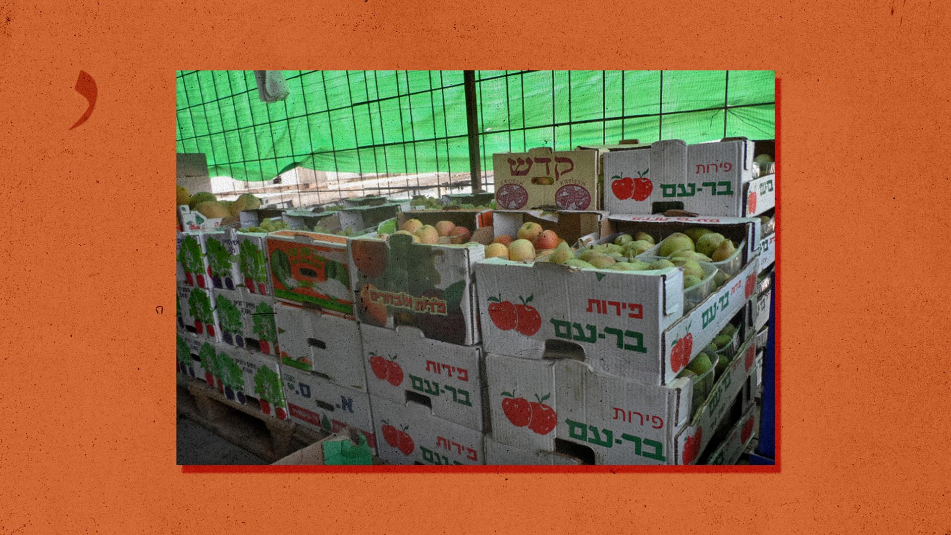 صورة إسرائيل تستنكر مقاطعة منتجاتها الزراعية رغم إنتاجها في أراضٍ فلسطينية بالأساس