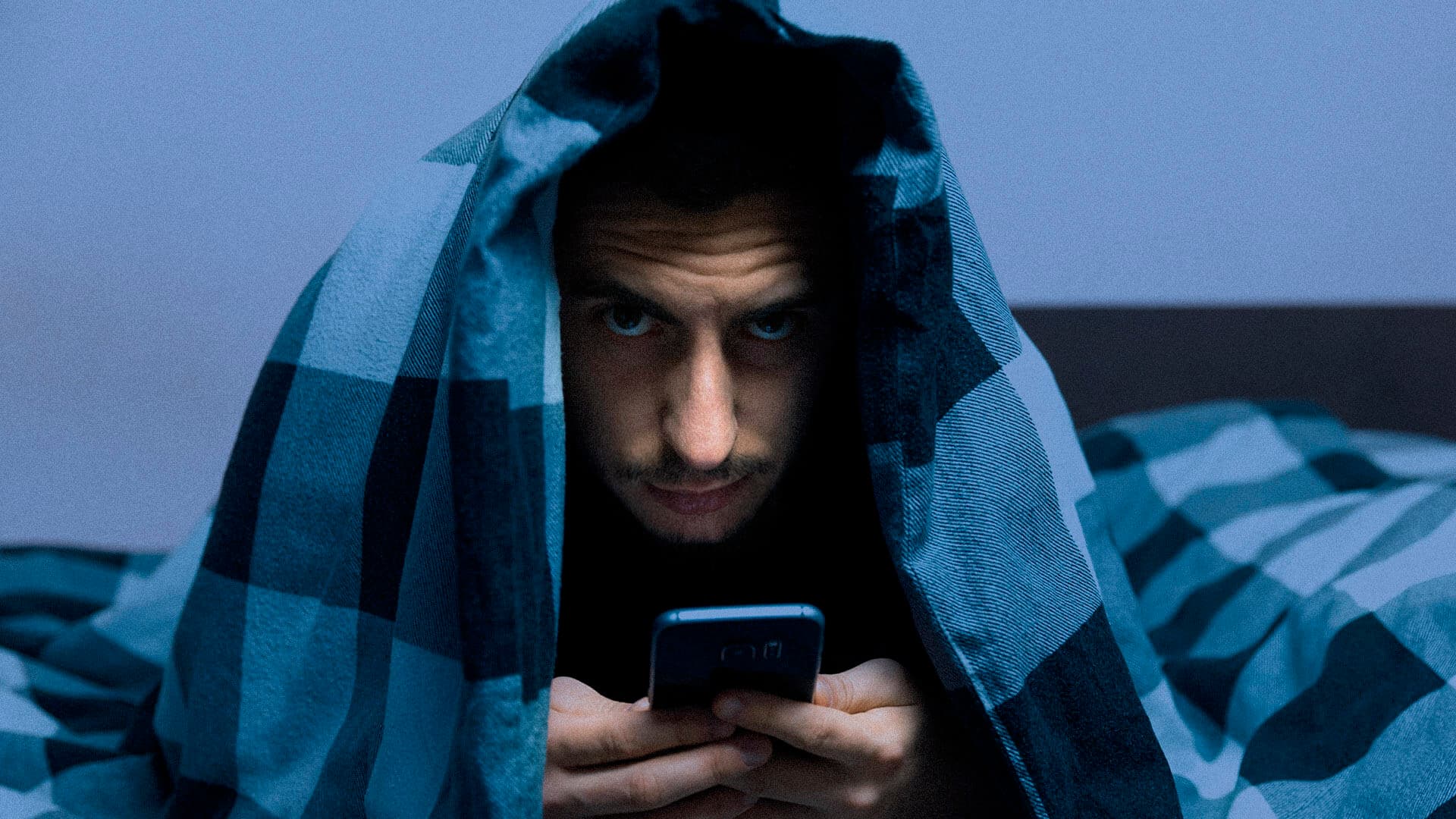 صورة ذئب منفرد يكوّن رأياً دون اكتراث لخصوصية الرأي العام