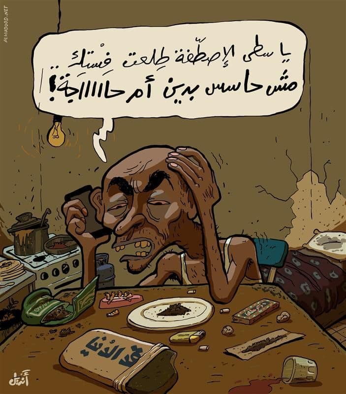 صورة دماغ قراقيش
