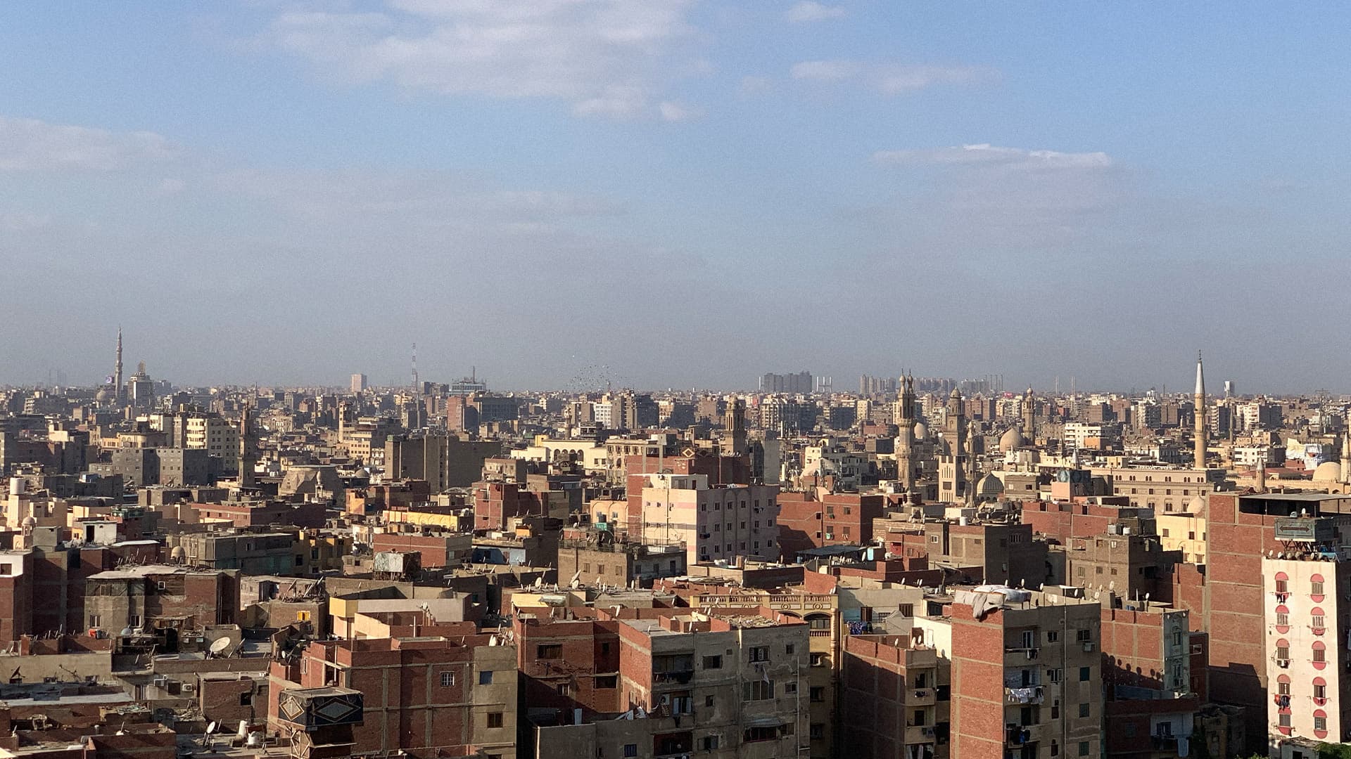 We Can Save Egypt image