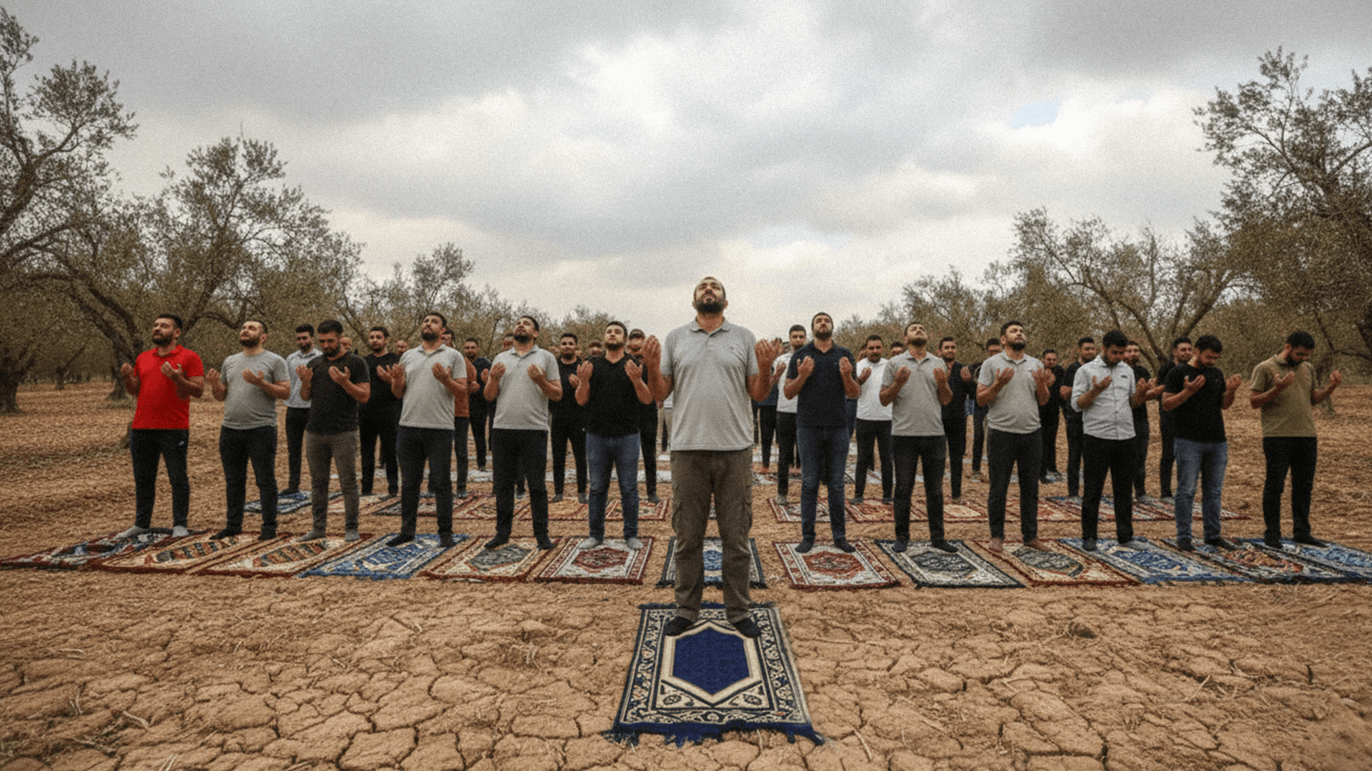 صورة صلاة للمطالبة بتثبيت الحرارة على ٢٤ مع زخات خفيفة مناسبة لموسم الزيتون لا تتسبب بغرقنا