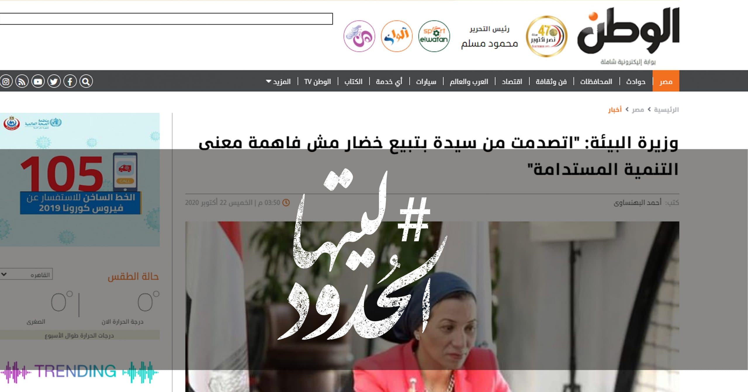 صورة وزيرة البيئة: “اتصدمت من سيدة بتبيع خضار مش فاهمة معنى التنمية المستدامة”