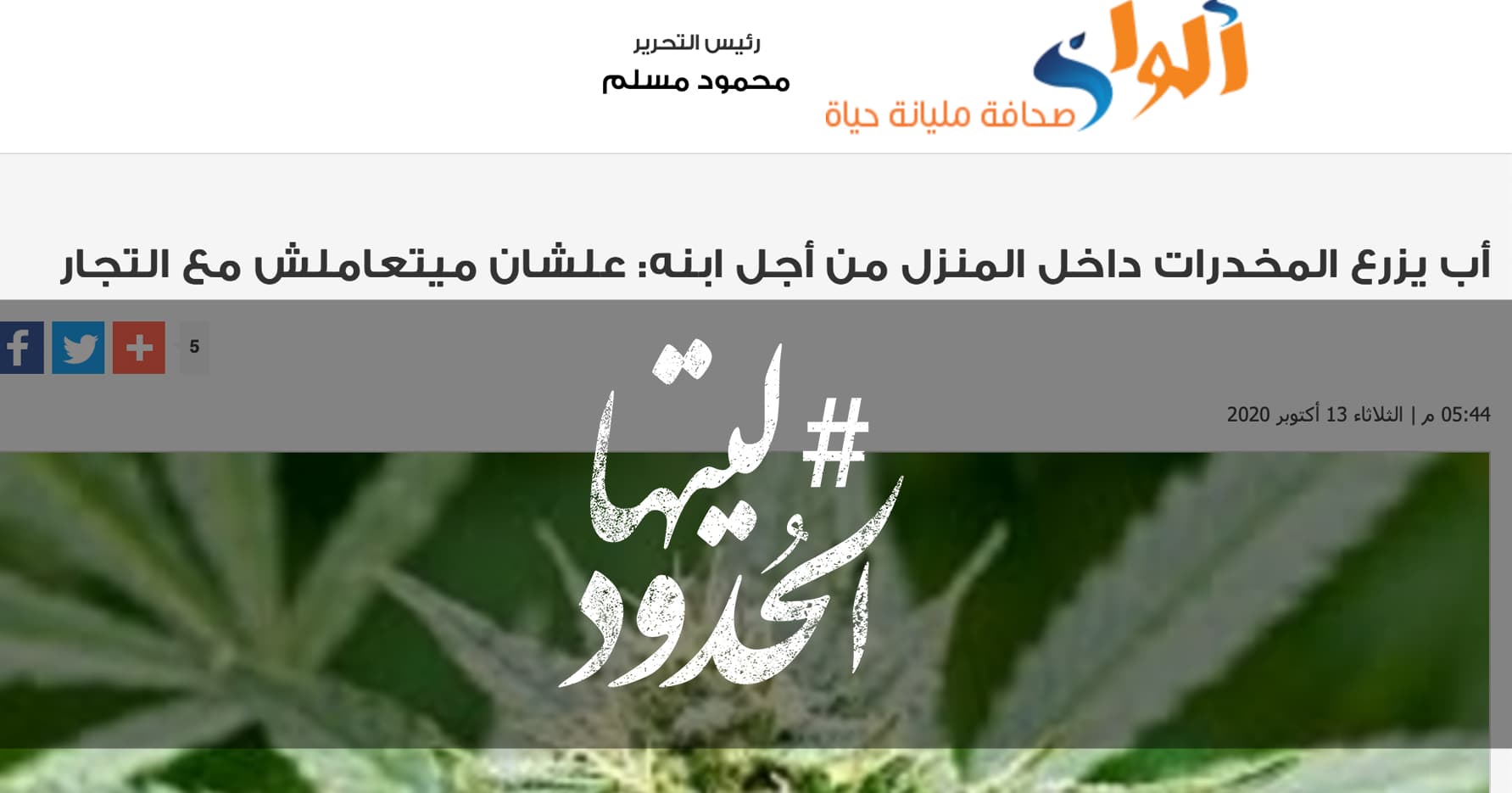 صورة أب يزرع المخدرات داخل المنزل من أجل ابنه: علشان ميتعاملش مع التجار