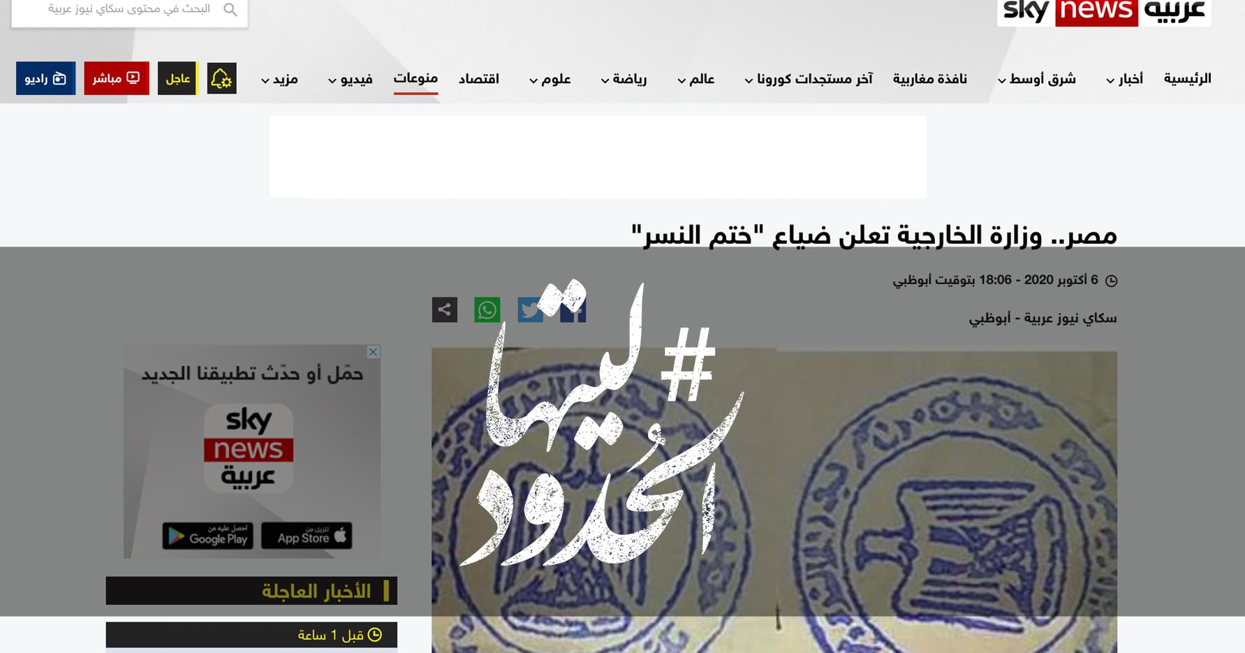 صورة مصر.. وزارة الخارجية تعلن ضياع “ختم النسر”