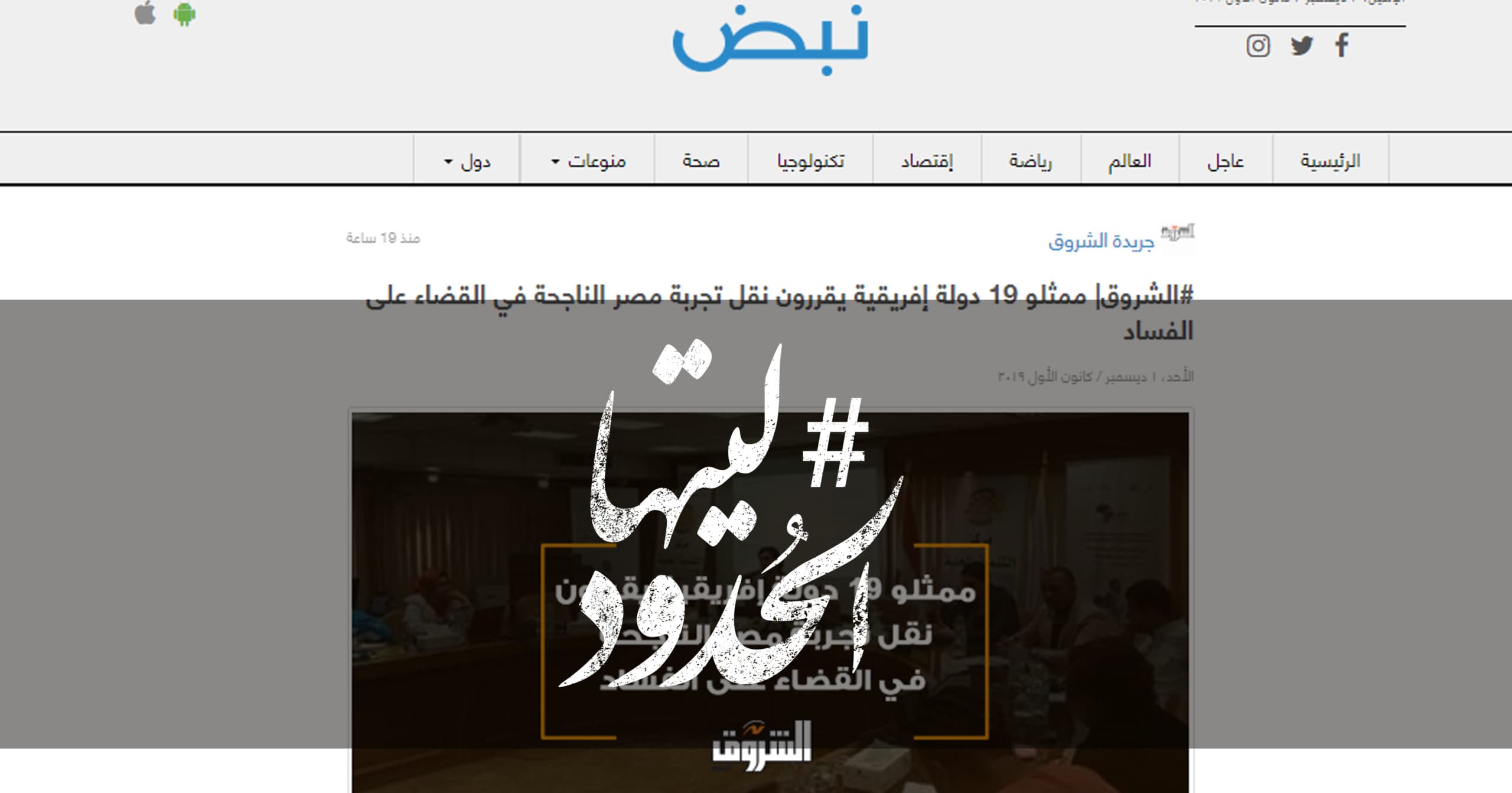 صورة ممثلو ١٩ دولة إفريقية يقررون نقل تجربة مصر الناجحة في القضاء على الفساد
