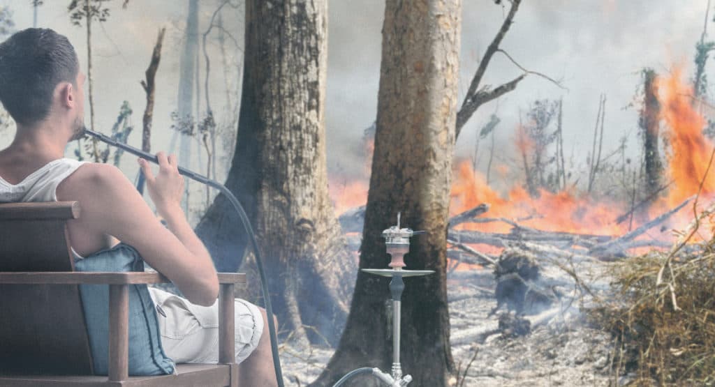 صورة فحم للأرجيلة و ٣ فوائد أخرى لحرائق الأمازون يخفيها جماعة البيئة