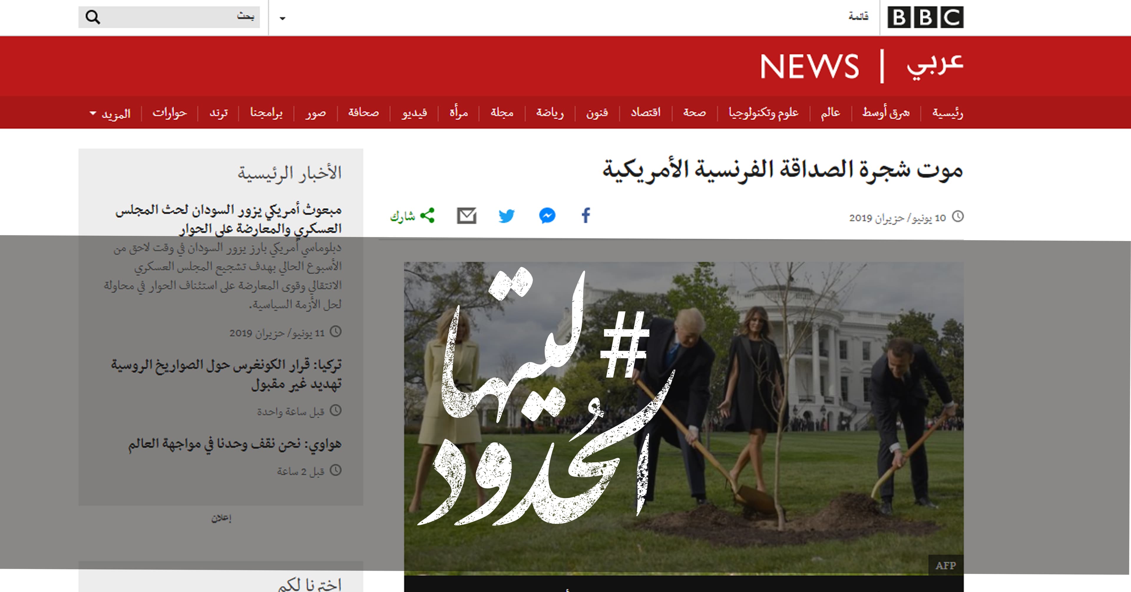 صورة موت شجرة الصداقة الفرنسية الأمريكية