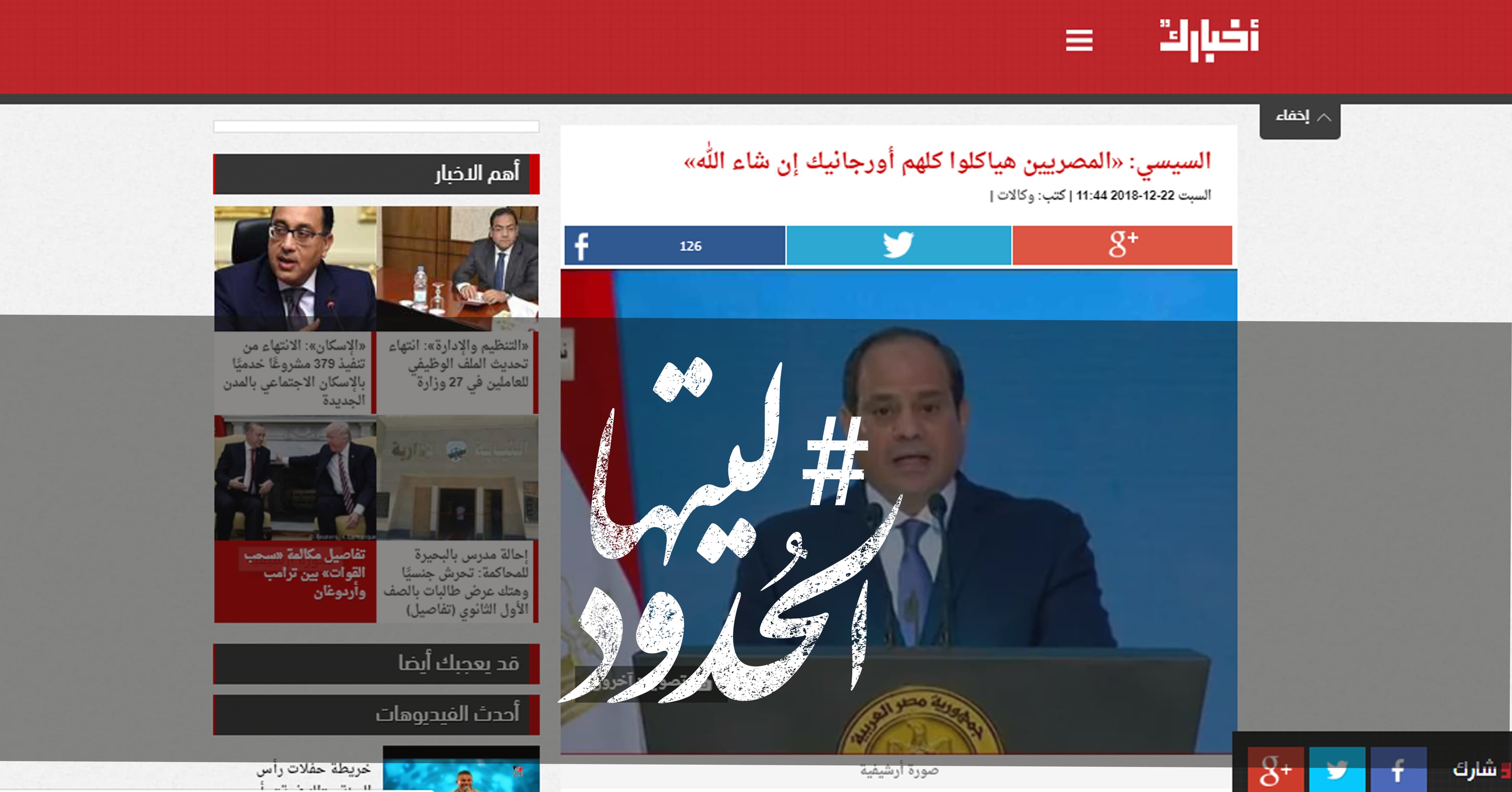 صورة السيسي: «المصريين هياكلوا كلهم أورجانيك إن شاء الله»