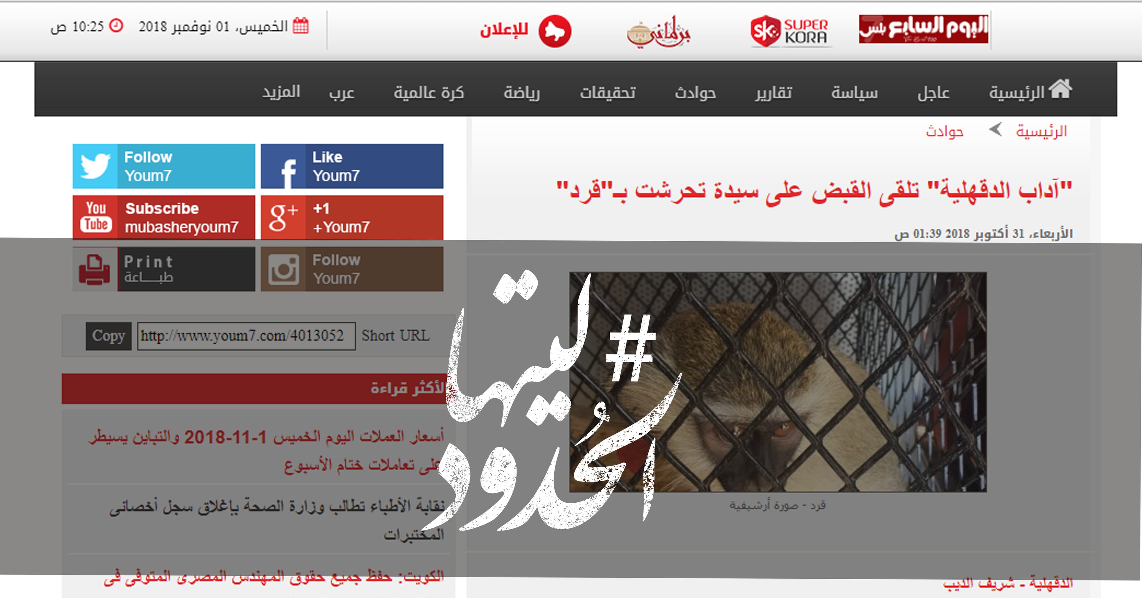 صورة “آداب الدقهلية” تلقى القبض على سيدة تحرشت بـ”قرد”