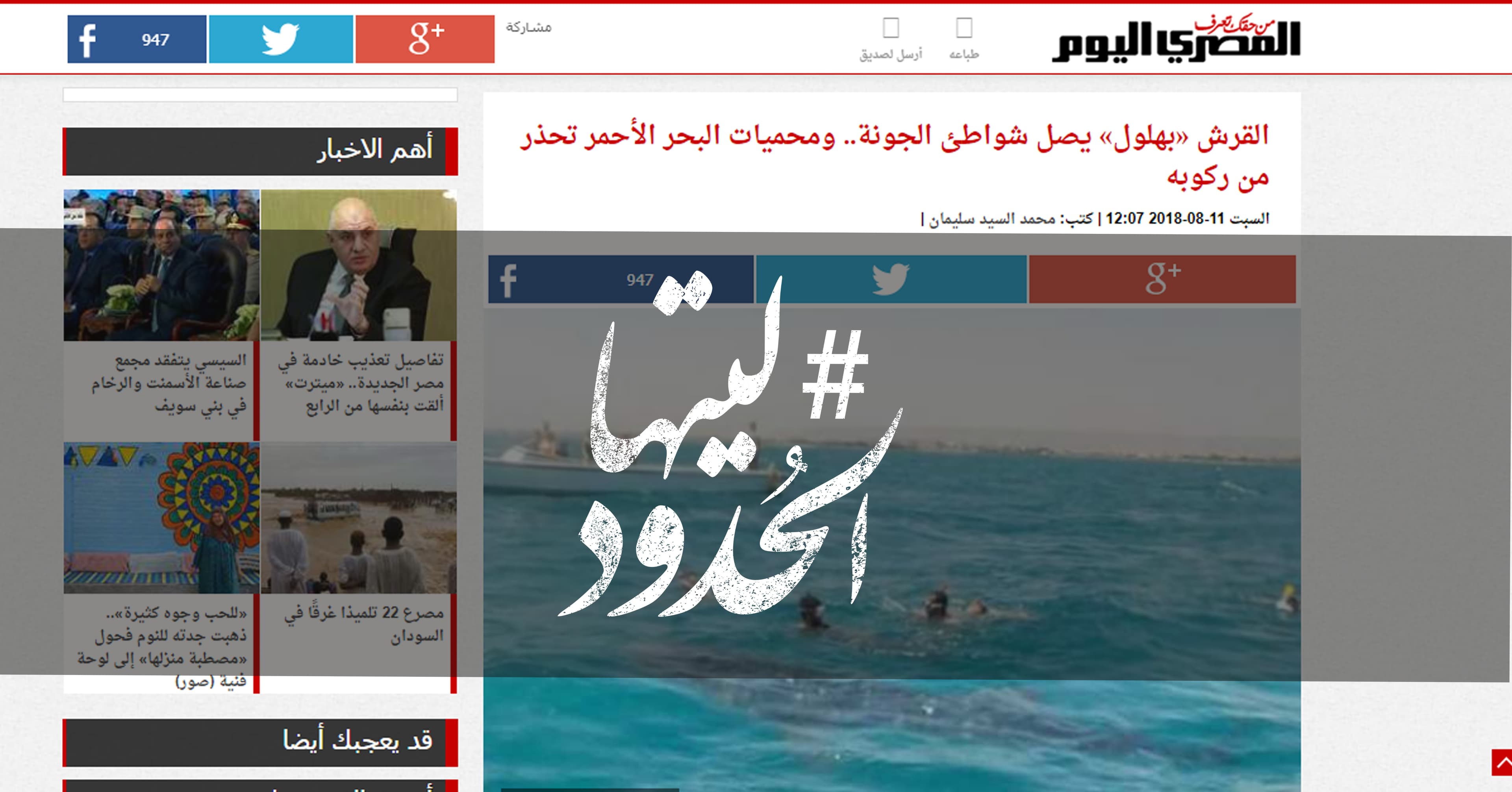 صورة القرش “بهلول” يصل شواطئ الجونة ومحميات البحر الأحمر تحذر من ركوبه