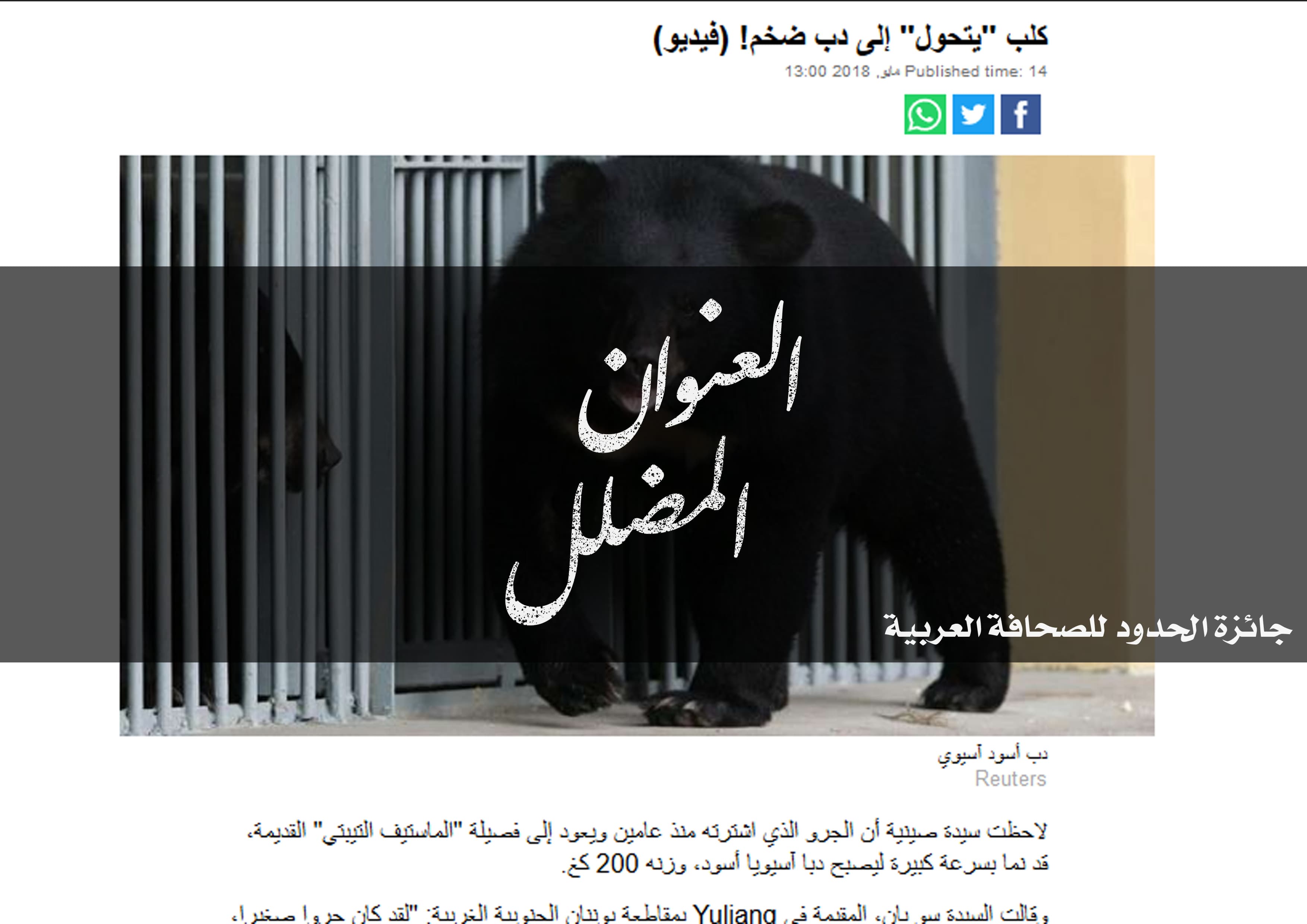صورة كلب “يتحول” إلى دب ضخم