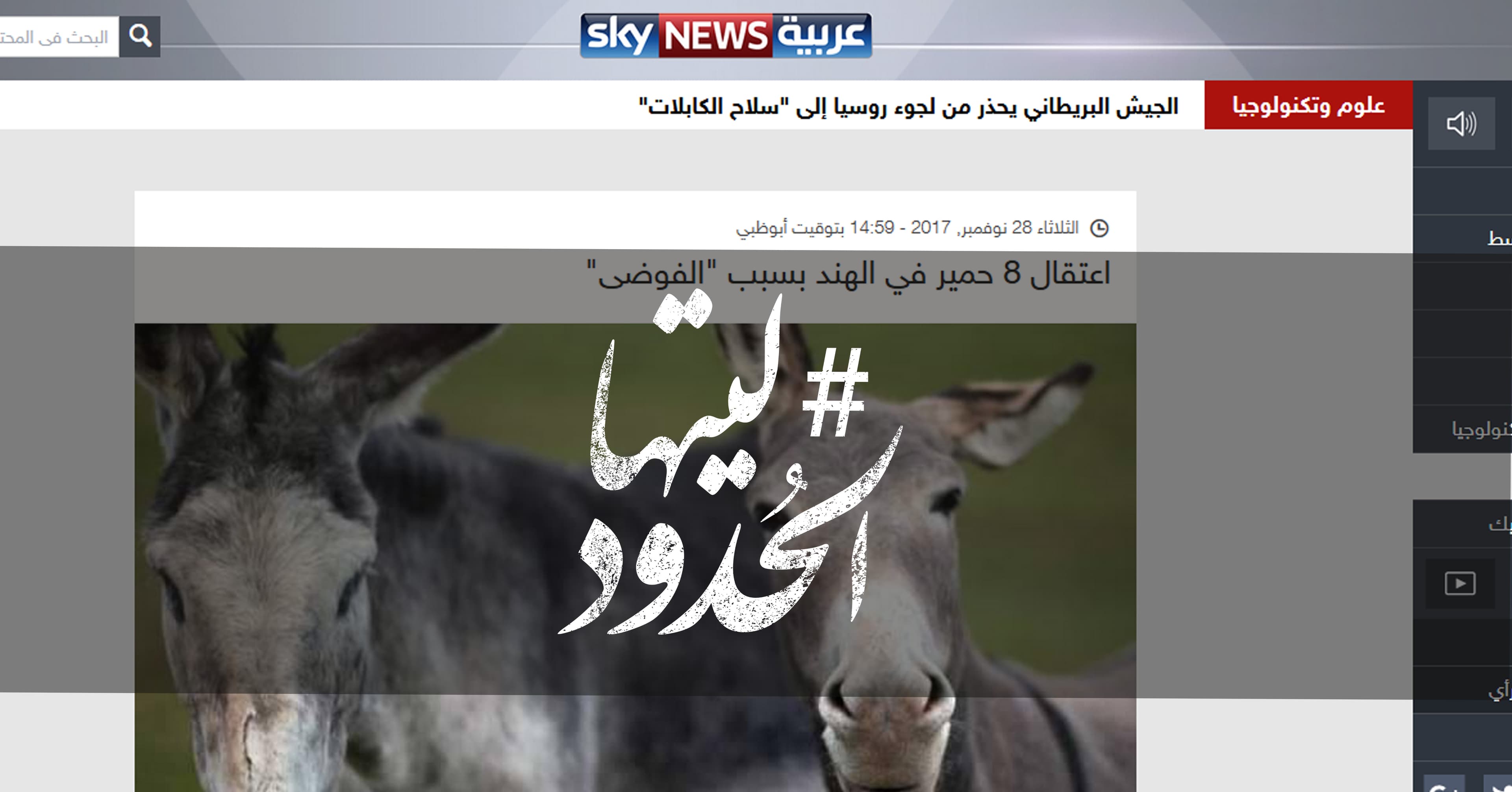 صورة اعتقال 8 حمير في الهند بسبب “الفوضى”