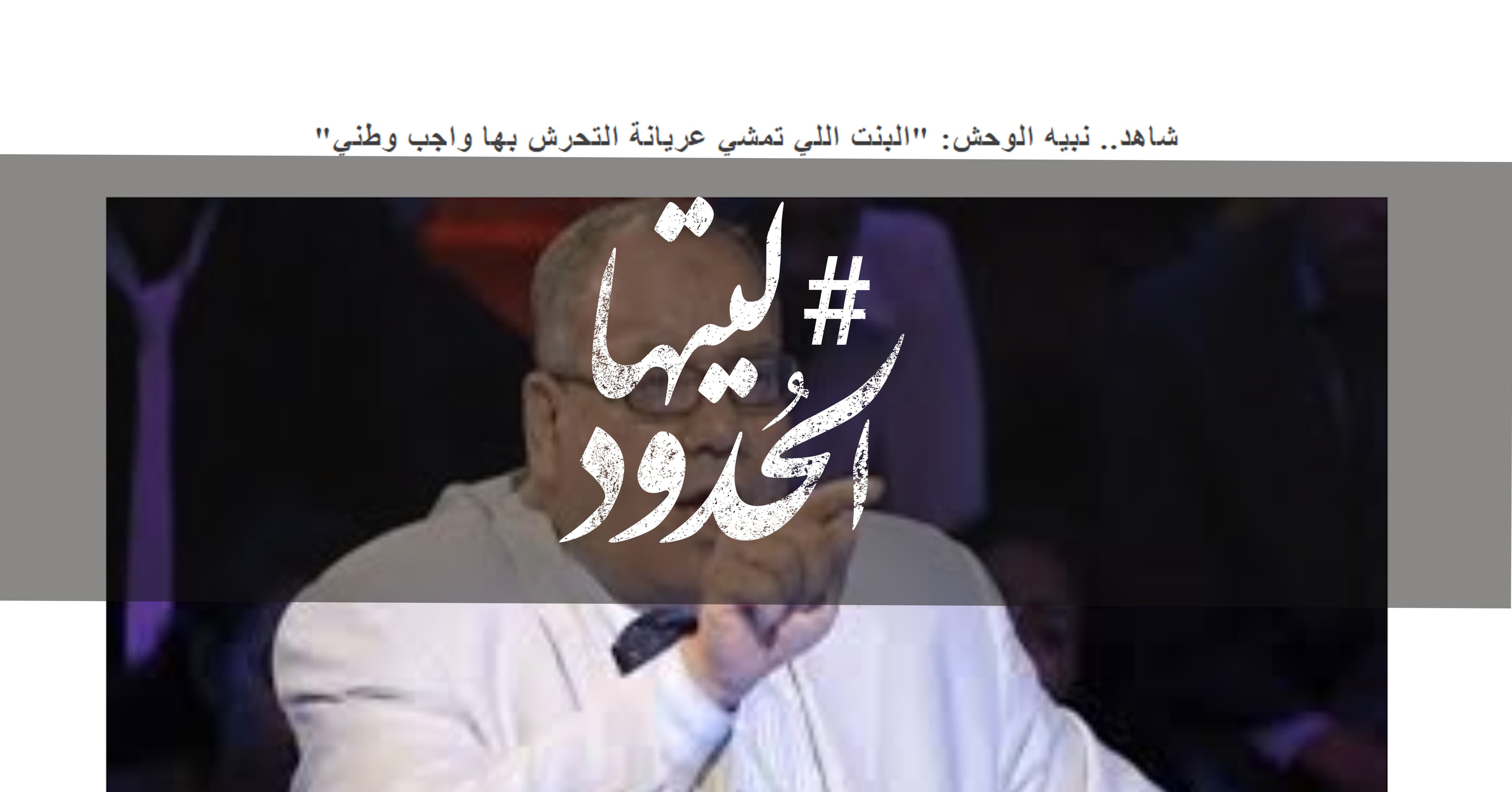صورة نبيه الوحش: “البنت اللي تمشي عريانة التحرش بها واجب وطني”