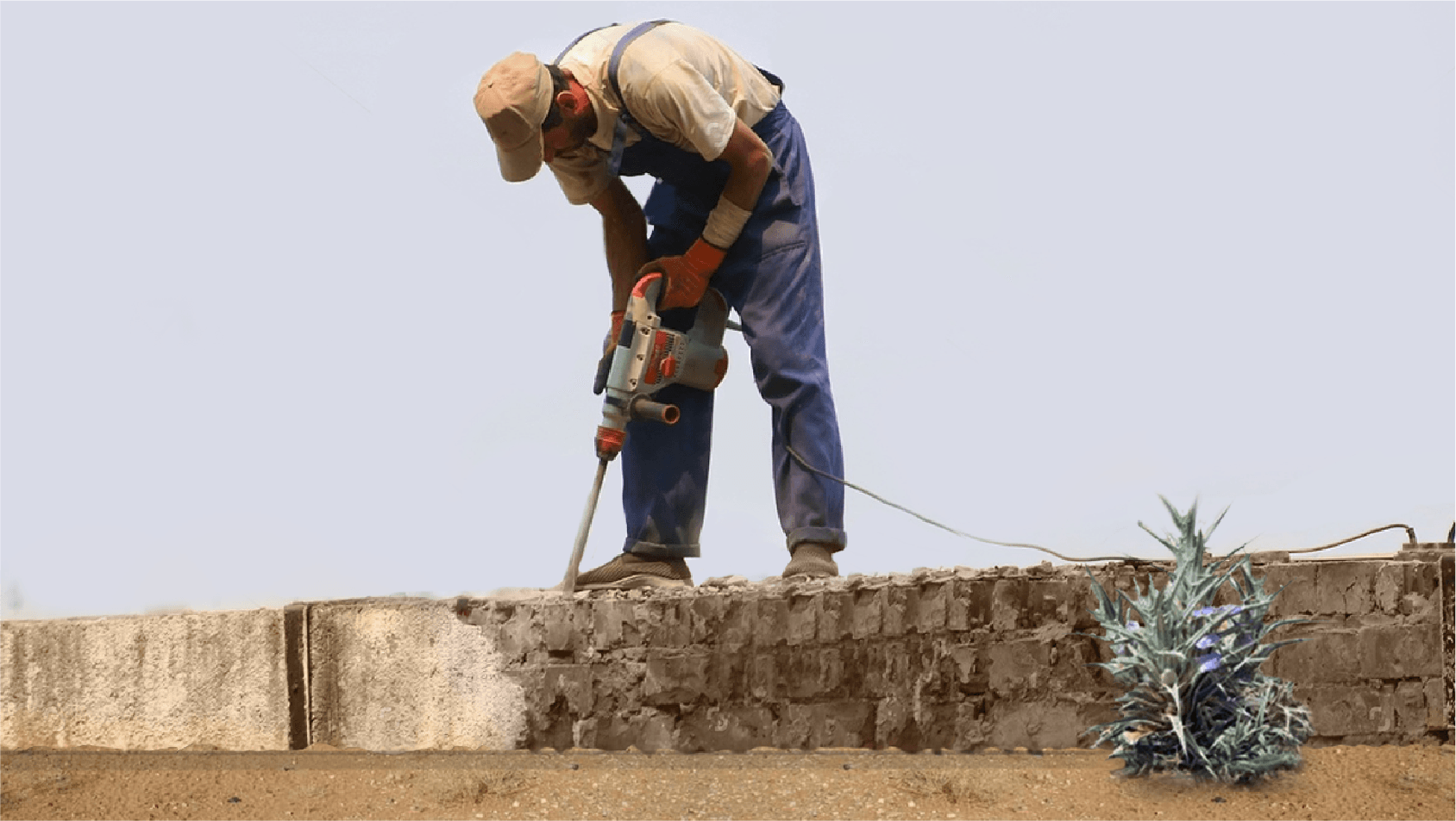 صورة الحكومة تأمر بإزالة حائطنا الواطي لكي لا يعايرها أحد بانخفاضه بعد الآن