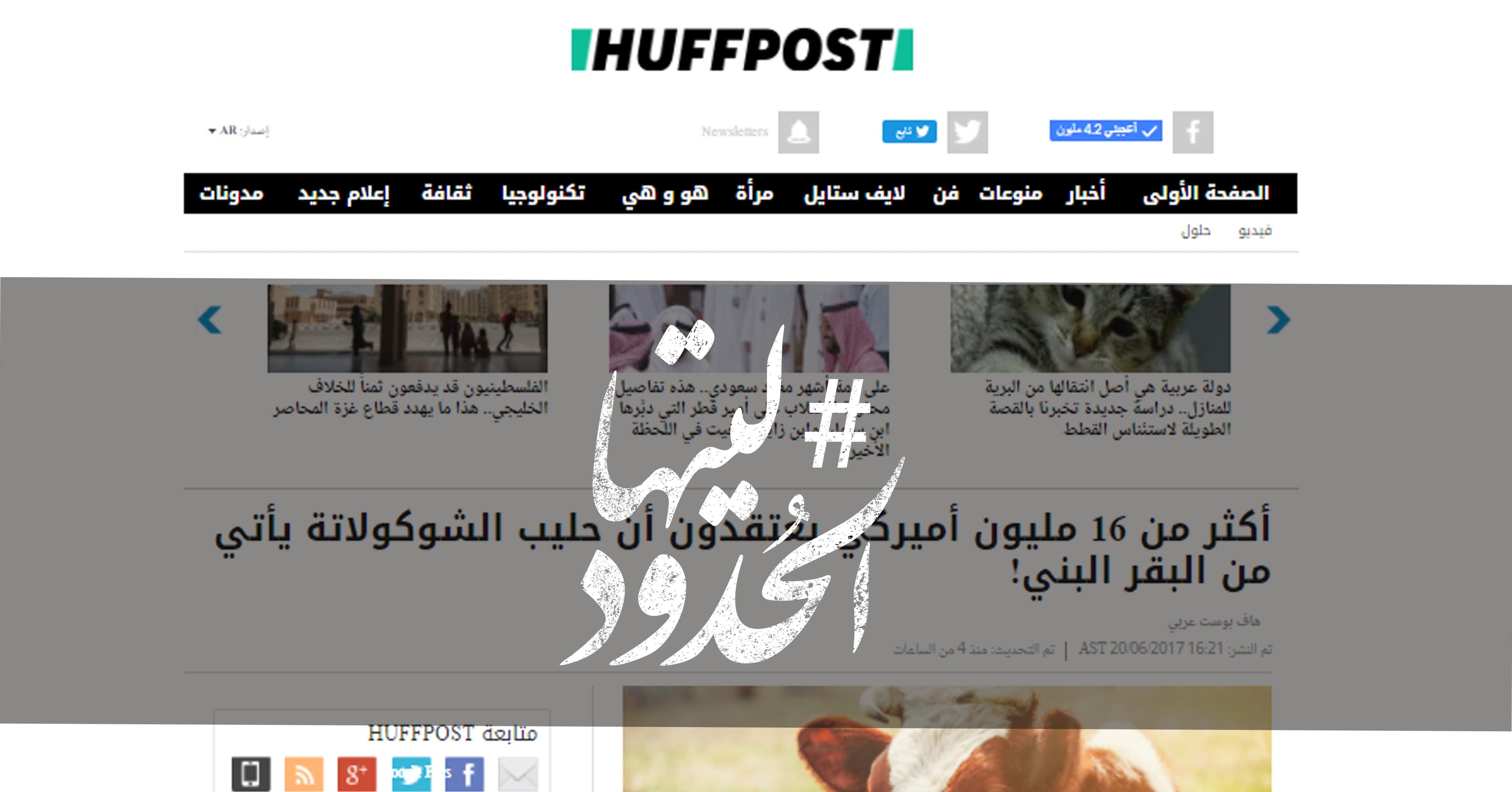 صورة أكثر من 16 مليون أميركي يعتقدون أن حليب الشوكولاتة يأتي من البقر البني!