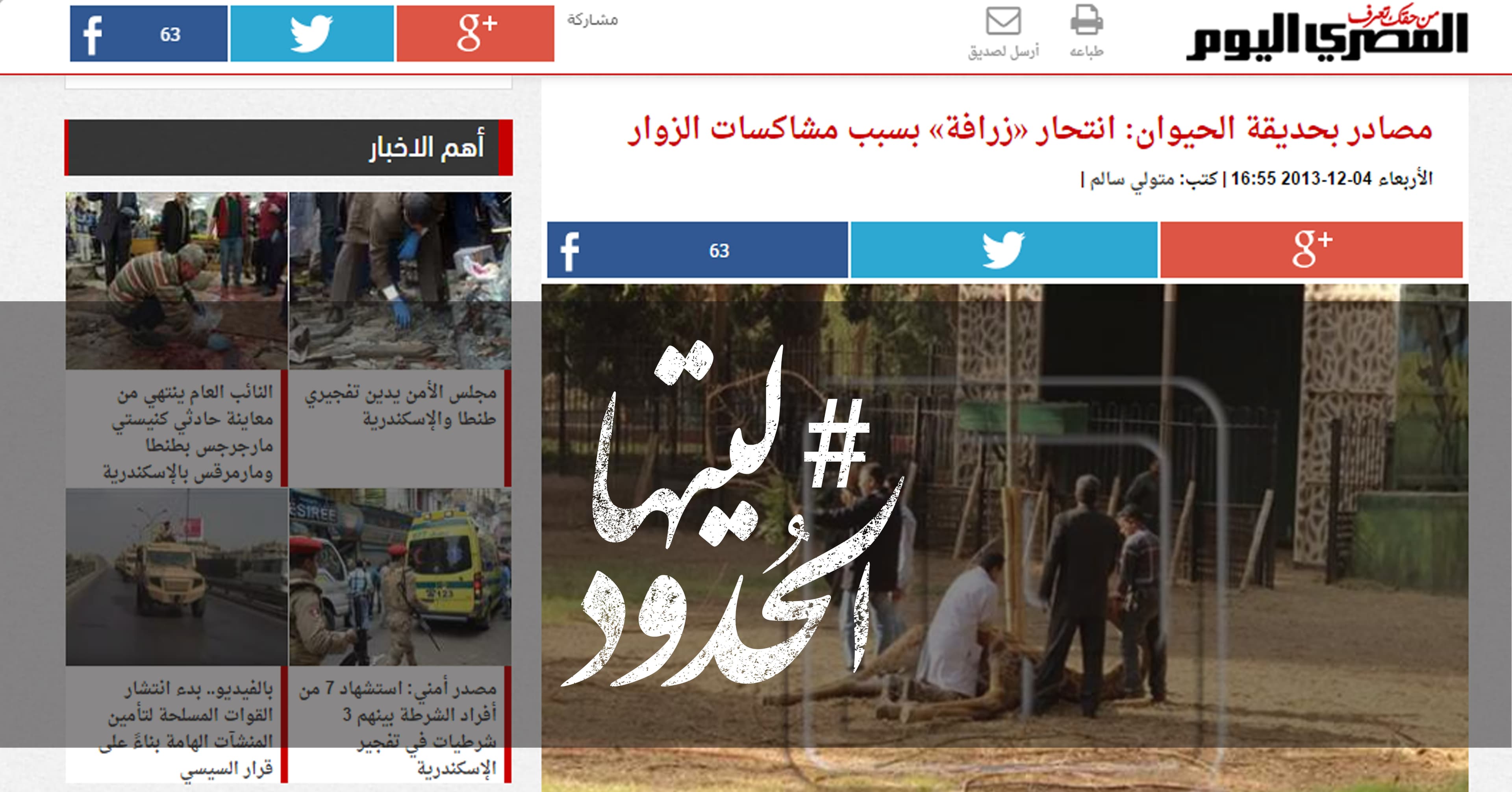 صورة انتحار زرافة بسبب مشاكسات الزوار