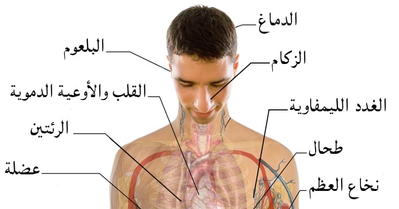 صورة شاب يتصالح مع الإنفلونزا ويتقبلها كجزء لا يتجزأ من جسمه