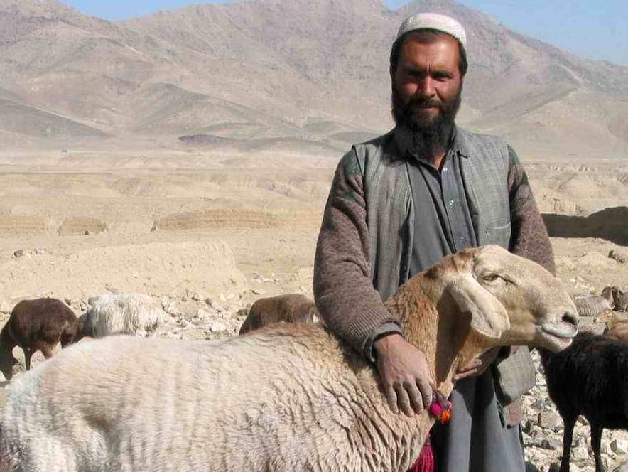 صورة أربع حجج لتقنع من حولك بسبب عدم شرائك أضحية لهذا العيد