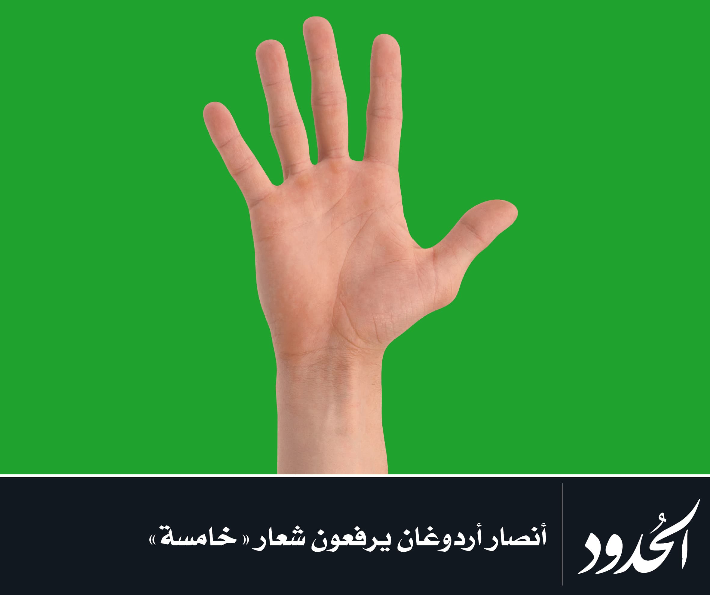 صورة أنصار أردوغان يرفعون شعار خامسة