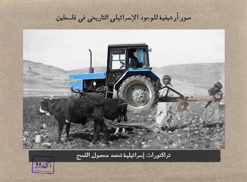 تركتورات إسرائيلية تحصد محصول القمح