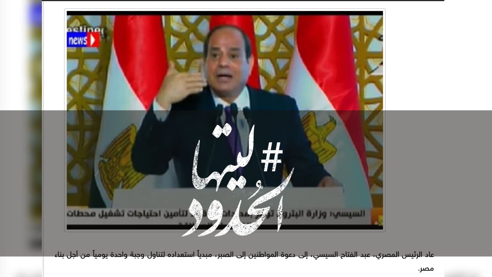 صورة بالفيديو .. السيسي: اقسم بالله مستعد أكل وجبة وحدة باليوم عشان نبني الأمة