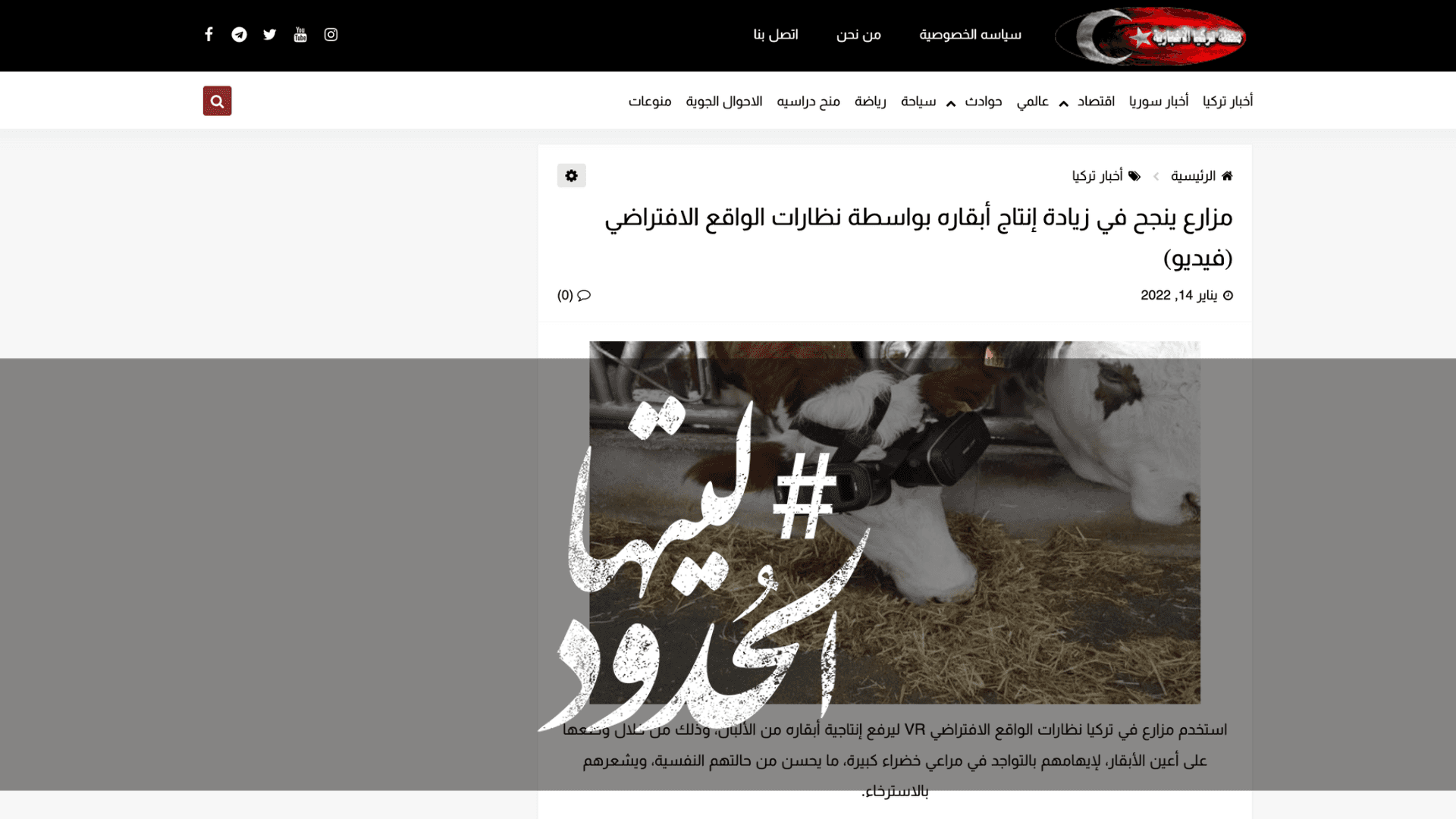 صورة مزارع ينجح في زيادة إنتاج أبقاره بواسطة نظارات الواقع الافتراضي