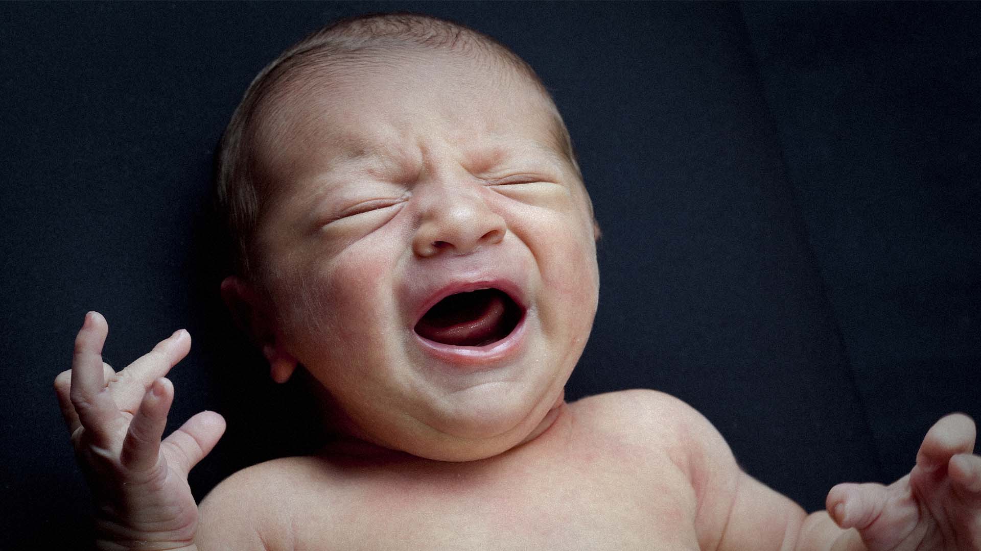 صورة هل من المنطقي أن يكون الناس أحراراً وقد ولدتهم أمهاتهم رغماً عن أنوفهم؟
