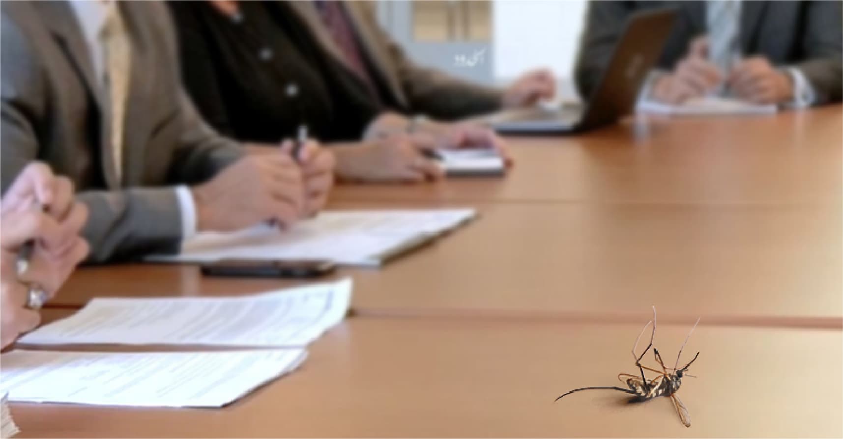 صورة بعوضة تموت جوعاً بعدما علقت داخل مجلس النواب