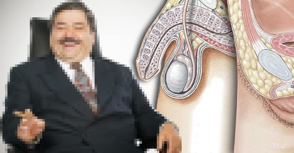 صورة خمسة فروقات بين أعضاء البرلمان والأعضاء التناسلية