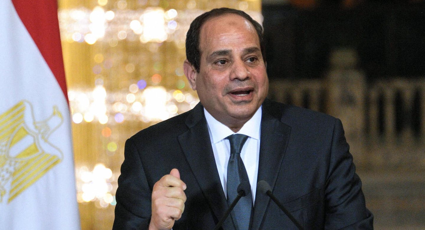 Sisi says pandemic is widespread enough to turn profit from vaccines for Egypt image