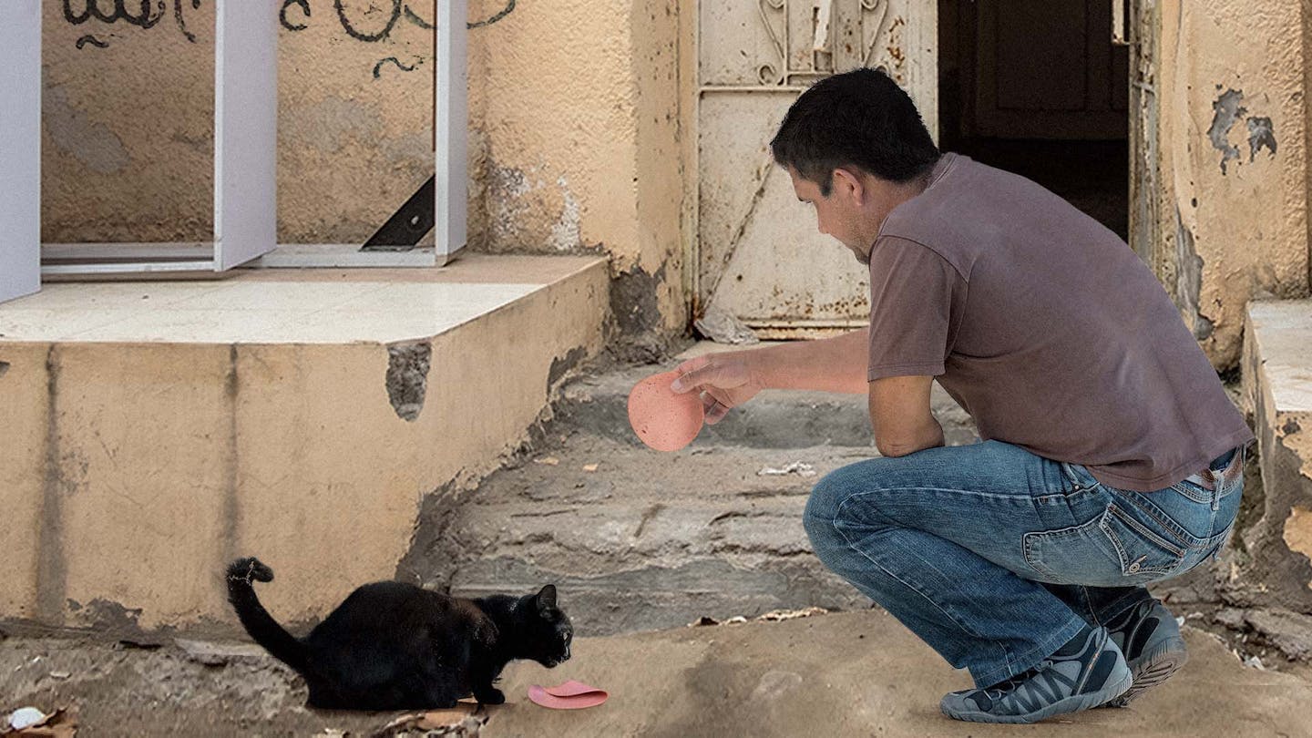  صورة شاب يفشل بالتعاطف مع ضحايا الحروب بعدما أهدر رصيد تعاطفه على قطة جائعة
